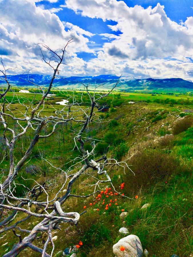 Pine Creek Cabin Livingston Montana Exterior foto